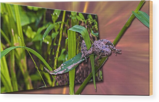 Nature Wood Print featuring the photograph 3 D Toad by Michael Whitaker