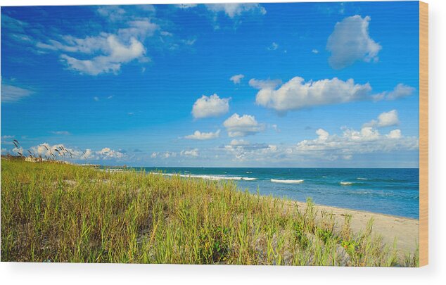 Cocoa Beach Wood Print featuring the photograph Cocoa Beach by Raul Rodriguez