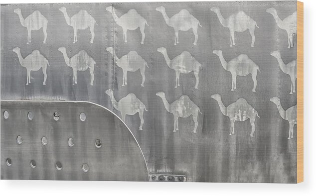 Aircraft Kill Tags Wood Print featuring the photograph A pack of camels by Gary Warnimont