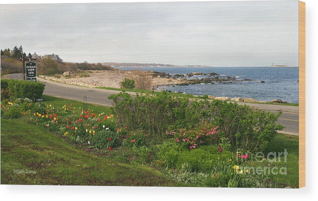 A Ride Along The Gloucester Shoreline Wood Print featuring the photograph A Ride Along the Gloucester Shoreline by Michelle Constantine