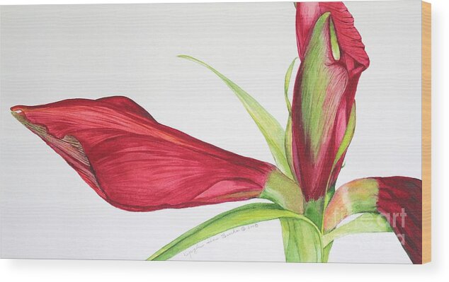 Flower Wood Print featuring the painting Amaryllis by Kyong Burke