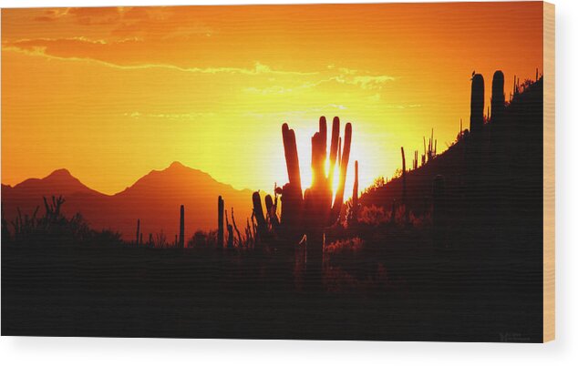 Sun Wood Print featuring the photograph AZ Sunset by Elaine Malott