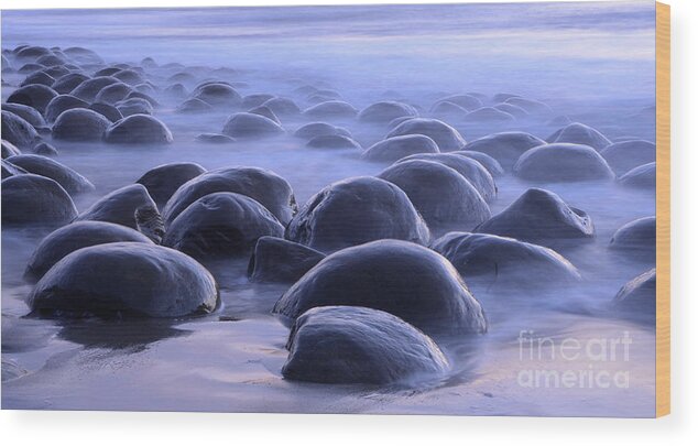 Bowling Ball Beach Wood Print featuring the photograph Bowling Ball Beach California by Bob Christopher