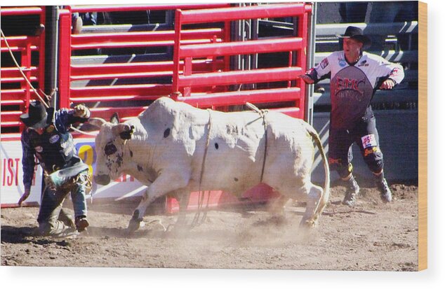 Cowboy Wood Print featuring the photograph Bull after the Rider by Ron Roberts