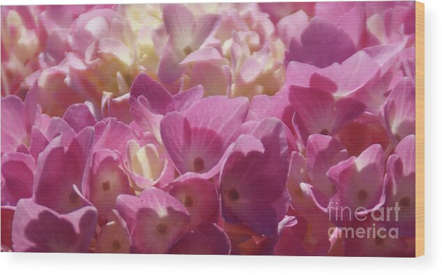 Hydrangea Wood Print featuring the photograph Buttercream by Linda Shafer