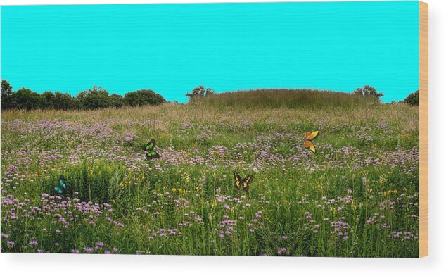 Butterfly's Wood Print featuring the photograph Butterfly Meadow by Larry Trupp