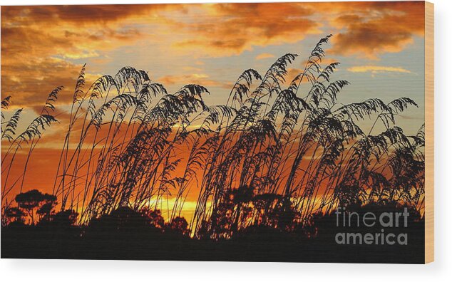Sapelo Wood Print featuring the photograph Cabretta Sunset by Andre Turner