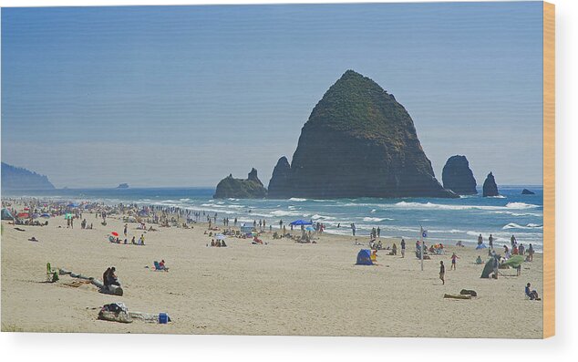 Pacific Wood Print featuring the photograph Coastal Attraction by Nick Boren