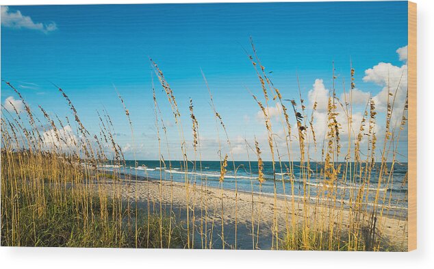 Cocoa Beach Wood Print featuring the photograph Cocoa Beach by Raul Rodriguez