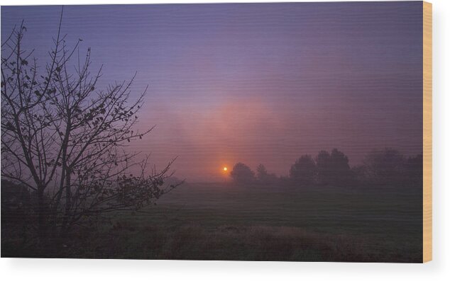 Cromer Wood Print featuring the photograph Cromer Sunrise by David French