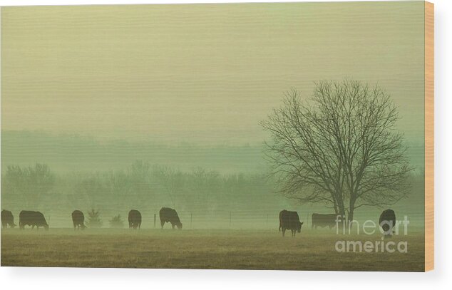 Morning Fog Wood Print featuring the photograph Early Morning Fog 014 by Robert ONeil