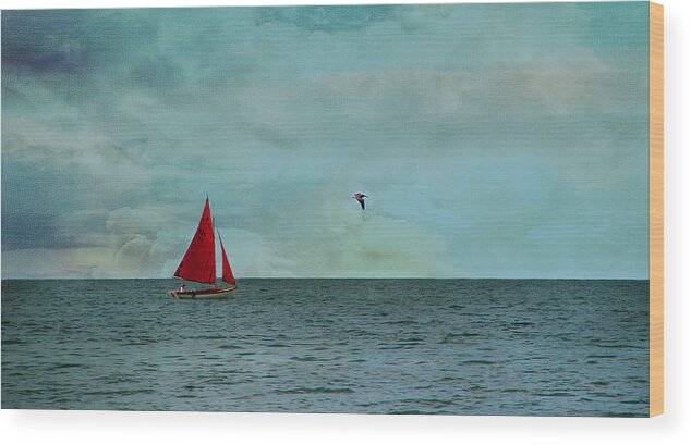 Sailing Wood Print featuring the photograph Enjoying the day by Carolyn D'Alessandro