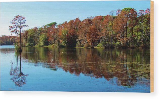 Tree Wood Print featuring the photograph Fall In The Air by Cynthia Guinn