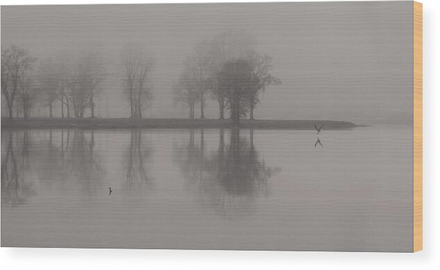 Landscape Wood Print featuring the photograph Fog and Fishing Eagle by Deborah Smith