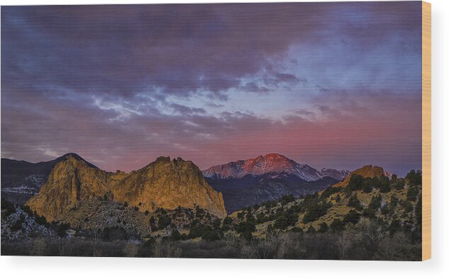 Steve White Wood Print featuring the photograph Garden of the Gods and Pike's Peak by Steve White