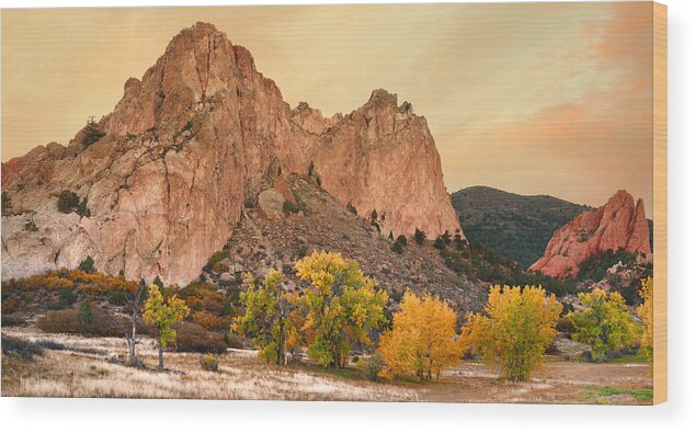 Garden Of The Gods Wood Print featuring the photograph Golden October by Tim Reaves
