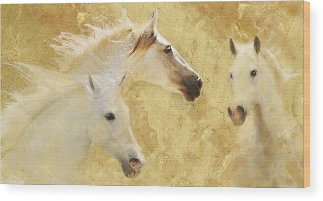 Golden Horses Wood Print featuring the photograph Golden Steeds by Melinda Hughes-Berland