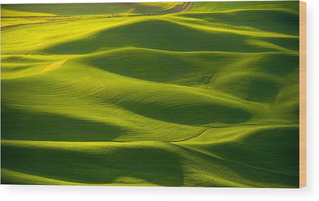 Spring Sunrise Wood Print featuring the photograph Green waves by Kunal Mehra