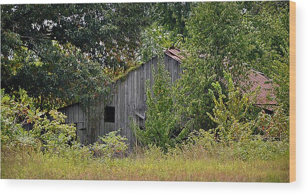 Farm Wood Print featuring the photograph Hidden by Greg Jackson