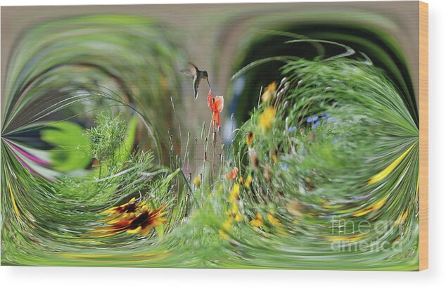 Humming Bird Wood Print featuring the photograph Humming Bird Digital Art by Thomas Woolworth