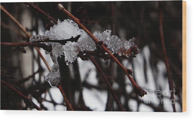 Snow Wood Print featuring the photograph Ice 3 by Linda Shafer