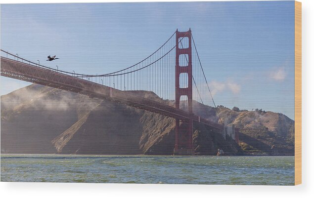 Golden Gate Bridge Wood Print featuring the photograph In Flight over Golden Gate by Scott Campbell