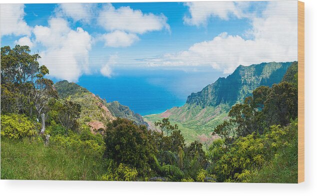 Hawai'i Wood Print featuring the photograph Kalalau Valley by Adam Pender