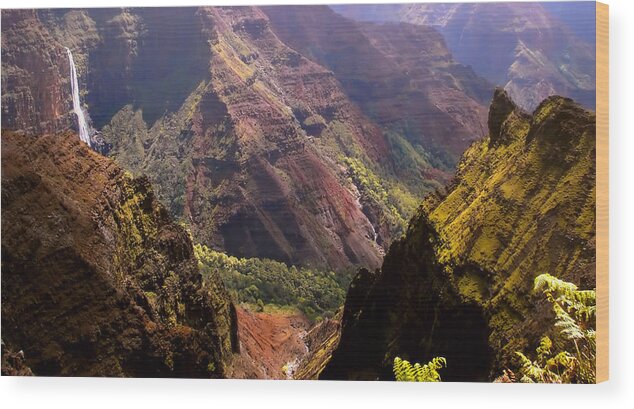 Hawaiian Wood Print featuring the photograph Kauai Colors by KATIE Vigil