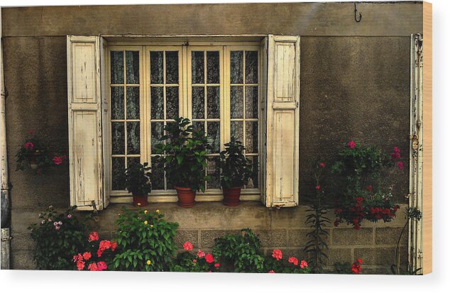 Rose Wood Print featuring the photograph La vie en rose by Seth Vincent