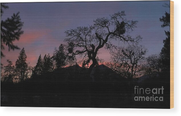 Landscape Wood Print featuring the photograph Lights Out by Julia Hassett