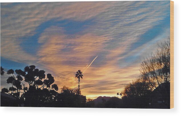 Morning Sky Wood Print featuring the photograph Lone Sentry Morning Sky by Jay Milo