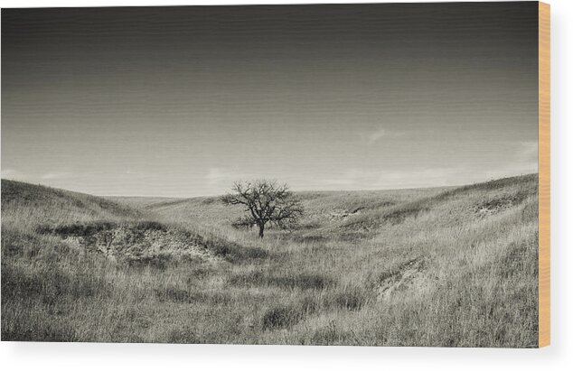 Tree Wood Print featuring the photograph Lone Tree Winter by Eric Benjamin