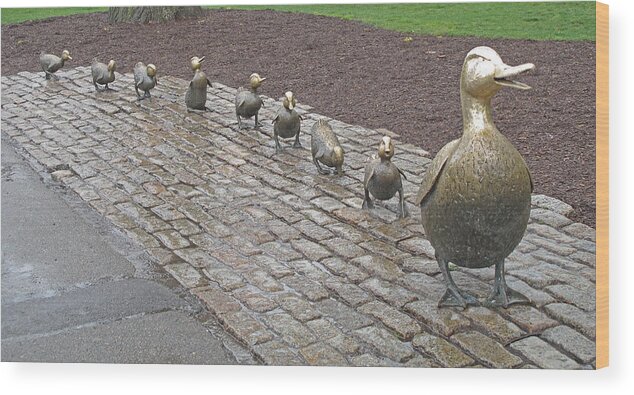 Schon Wood Print featuring the photograph Make way for ducklings by Barbara McDevitt