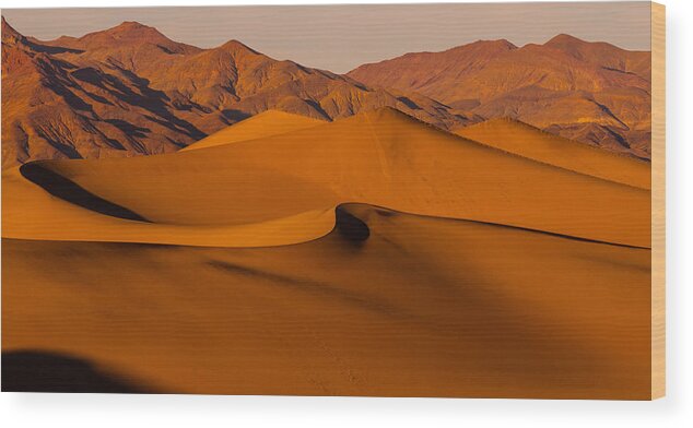 Mesquite Dunes Wood Print featuring the photograph Mesquite by Kunal Mehra