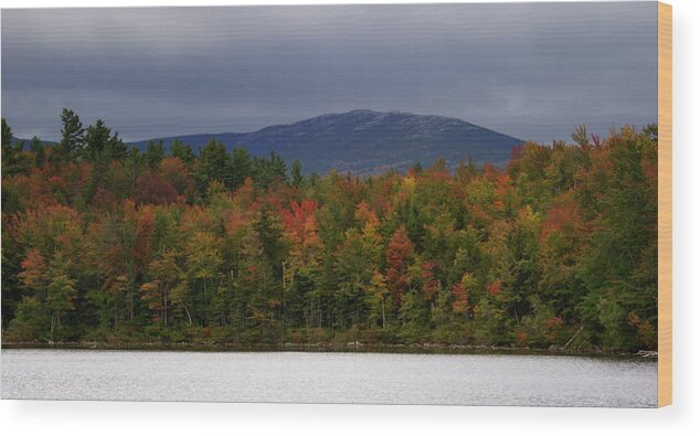 Fall Wood Print featuring the photograph Mount Monadnock Fall 2013 View 2 by Lois Lepisto
