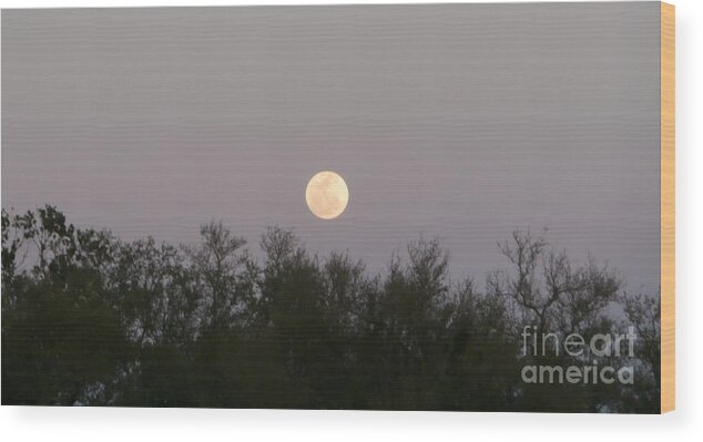 Moon Wood Print featuring the photograph Panoramic New Orleans Moon Rising by Joseph Baril