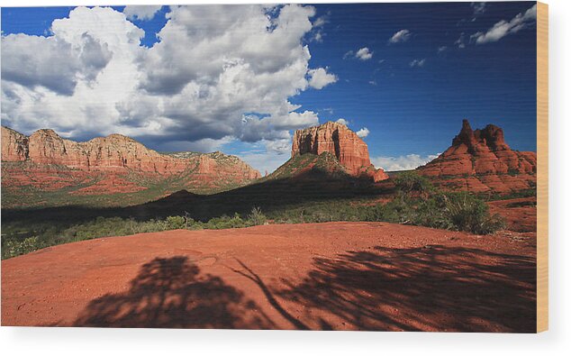 Landscape Wood Print featuring the photograph Partly Cloudy with a chance of Scenery by Gary Kaylor