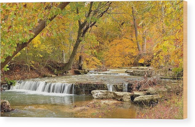 Waterfall Wood Print featuring the photograph Pedelo Falls by Deena Stoddard