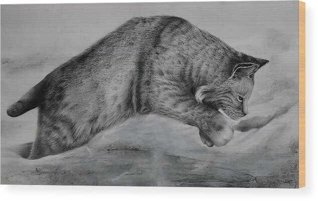 Bobcat Wood Print featuring the drawing Pounce by Jean Cormier