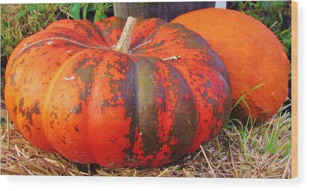 Pumpkin Wood Print featuring the photograph Pumpkins by Cynthia Guinn