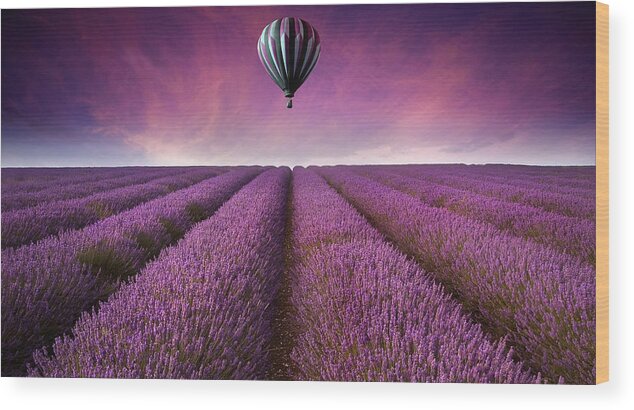 Landscape Wood Print featuring the photograph Purple by Matthew Gibson