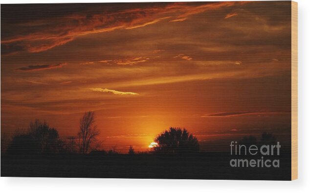 Landscape Photography Wood Print featuring the photograph Scenic Sunset by J L Zarek