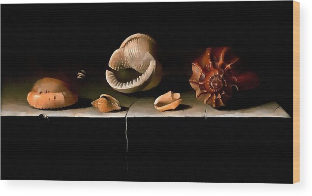 Adriaen Coorte Shells Wood Print featuring the painting Six Shells On A Stone Shelf by Adriaen Coorte