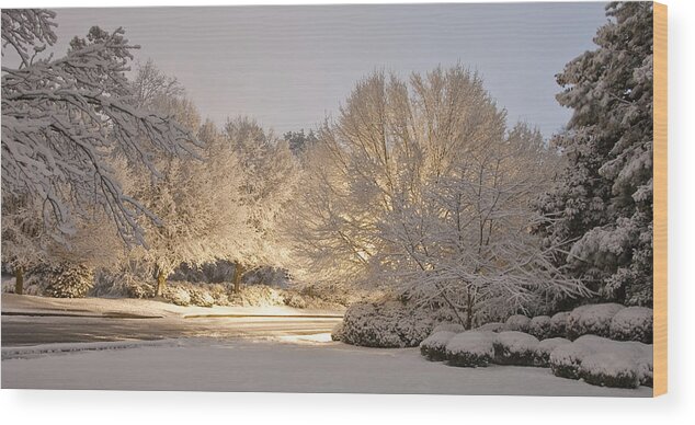 Cold Wood Print featuring the photograph Snowy Street at Night by Darryl Brooks