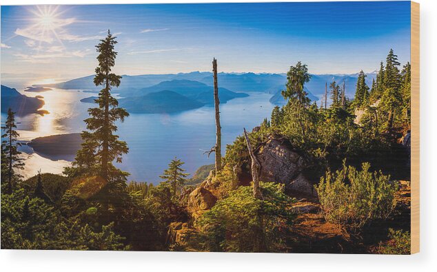 Canada Wood Print featuring the photograph St Mark's Summit near Vancouver by Alexis Birkill