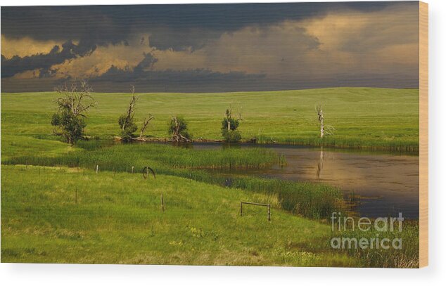 Barn Wood Print featuring the photograph Storm Crossing Prairie 1 by Robert Frederick