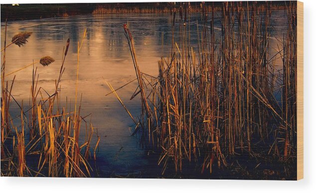 Ice Wood Print featuring the photograph Sun and Ice by Gerald Salamone