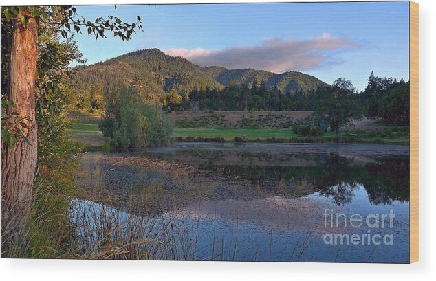 Landscape Wood Print featuring the photograph Sunrise Reflections by Julia Hassett