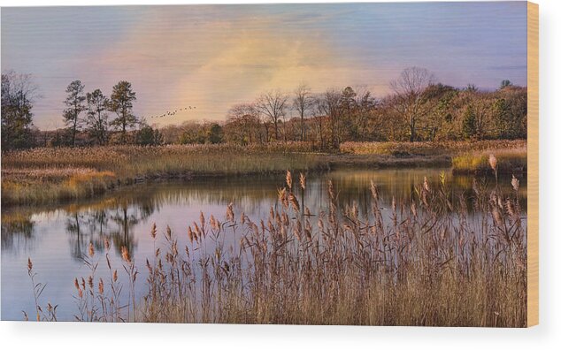 Sunset Wood Print featuring the photograph Sunset and Seagrass by Robin-Lee Vieira
