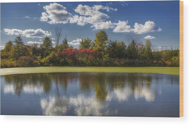 Bog Wood Print featuring the photograph The Pond in Autumn by Steve Gravano